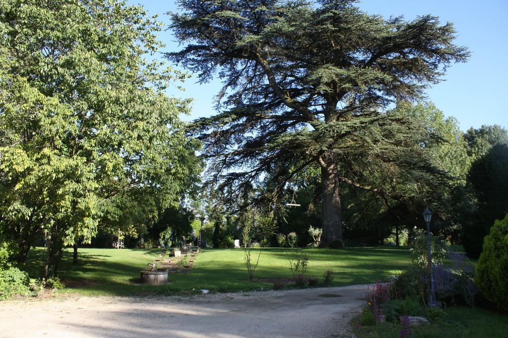 Chateau Castelrives Bessieres Номер фото
